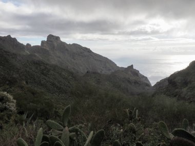 Tenerife, İspanya: Muhteşem Kanarya Adasının İç Bölgesi