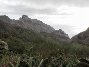 Tenerife, İspanya: Muhteşem Kanarya Adasının İç Bölgesi