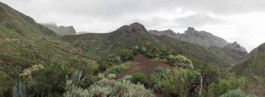 Tenerife, İspanya: Muhteşem Kanarya Adasının İç Bölgesi