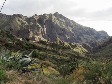Tenerife, İspanya: Muhteşem Kanarya Adasının İç Bölgesi