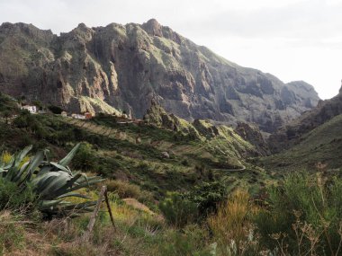 Tenerife, İspanya: Muhteşem Kanarya Adasının İç Bölgesi