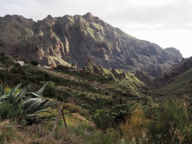 Tenerife, İspanya: Muhteşem Kanarya Adasının İç Bölgesi