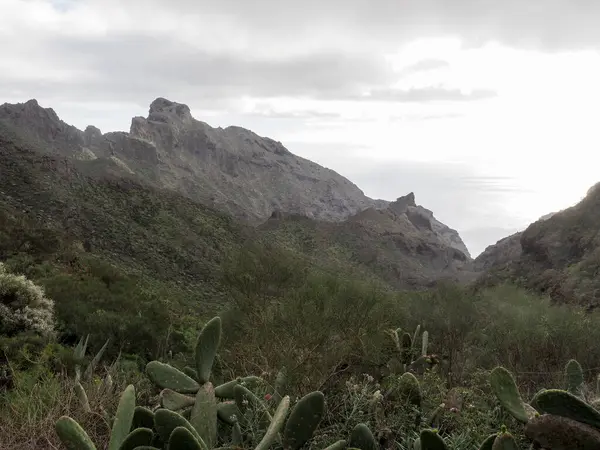 Tenerife, İspanya: Muhteşem Kanarya Adasının İç Bölgesi