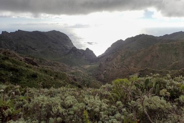 Tenerife, İspanya: Muhteşem Kanarya Adasının İç Bölgesi