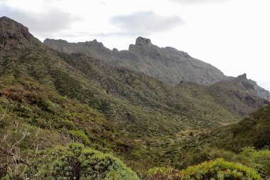 Tenerife, İspanya: Muhteşem Kanarya Adasının İç Bölgesi