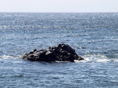 Lanzarote, İspanya: Volkanik kökenli tipik siyah kum plajı