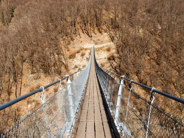 Sementina 悬索桥在山谷 图库照片