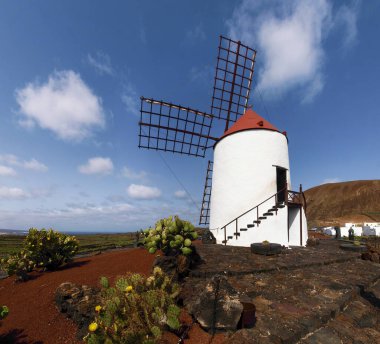 Lanzarote, İspanya: Kaktüs bahçesi, yel değirmeni