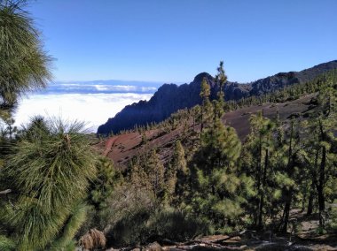 Tenerife, İspanya: Las Lagunetas dağındaki Las Races eğlence alanı