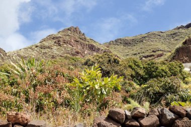 El Bailadero, Tenerife, İspanya: Mirador El Balaidero ve adanın manzarası