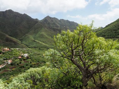 El Bailadero, Tenerife, İspanya: Mirador El Balaidero ve adanın manzarası