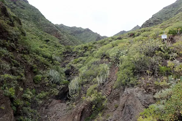 El Bailadero, Tenerife, İspanya: Mirador El Balaidero ve adanın manzarası