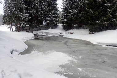 Lenzerheide, İsviçre: Kayak merkezinin kış manzarası