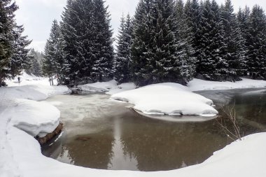 Lenzerheide, İsviçre: Kayak merkezinin kış manzarası