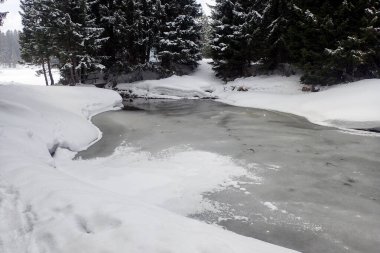 Lenzerheide, İsviçre: Kayak merkezinin kış manzarası