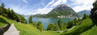 Ruetli, Switzerland: famous lawn of the federal pact