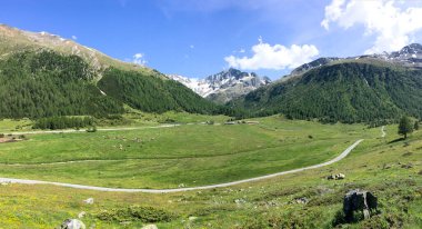 Livigno, Italy: panorama of the plateau of the mountain town clipart