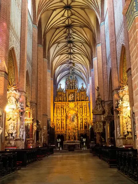 Gniew, Polonya - 7 Ağustos 2018: Kasaba ve kale