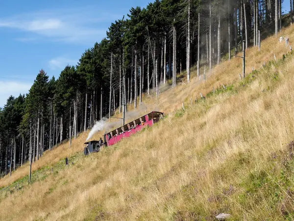 Monte Generoso, Switzerland - August 26, 2018: Monte Generoso railway, steam locomotive of 1890