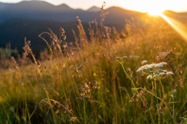 Dağlarda gün batımı
