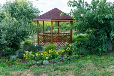 Pergola yaz bahçesinde