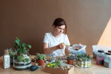 Woman putting expanded clay drainage in a glass florarium. Planting plants.