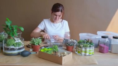 Brunette woman in white tshirt planting succulent in florarium. Female leveling decorative sand with tweezers.