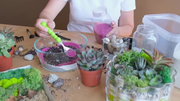 Unrecognized Woman White Tshirt Planting Succulent Florarium Female Pours Decorative — Video