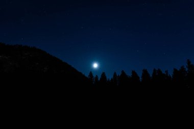 Gece karanlık orman ve dağ sırtı üzerinde parlak ay.