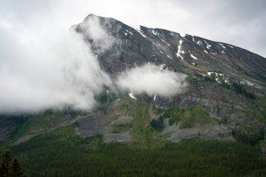 Majestic mountain peak shrouded in a veil of ethereal clouds, rising high above a lush forest