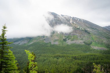 Mist-shrouded mountain peak rising above a dense forest, with patches of snow