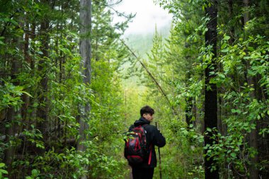 Man with backpack hikes through lush green forest towards distant mountains