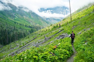 A person hiking through a lush, green mountain landscape, with downed logs