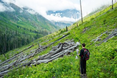 Hiker on a lush trail through a valley with fallen logs and a backdrop of mountains