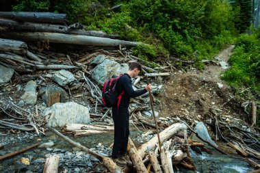 Hiker carefully traverses a stream, stepping across fallen logs while navigating a lush