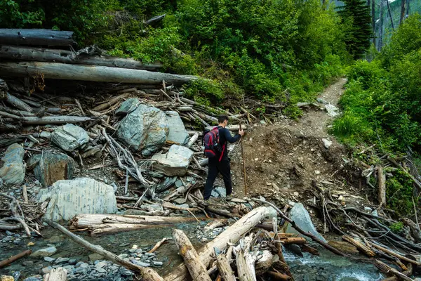 Hiker traversing challenging terrain with fallen logs and a stream, amidst lush greenery and rocks.