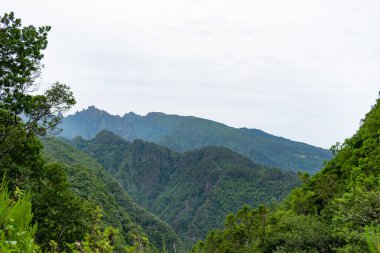 Madeira holiday summer trip vacation tourism mountains sunny day green trees landscape.