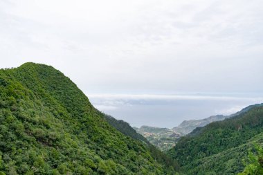 Madeira holiday summer trip vacation tourism mountains sunny day green trees landscape.