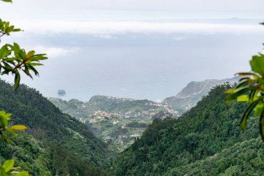 Madeira holiday summer trip vacation tourism mountains sunny day green trees landscape.