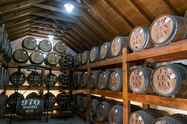 Madeira Rum Průmysl Barel Sklep Alkohol Nápoj Lihovar Turistika Dovolená — Stock fotografie