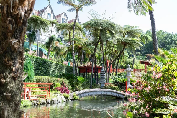 madeira tropik botanik bahçesi yaz tatili Portekiz güneşli gün yeşil ağaç turizmi.