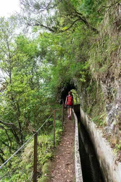 madeira levadas tourists people walking forest watercourses irrigation water channels for agricultural fields.