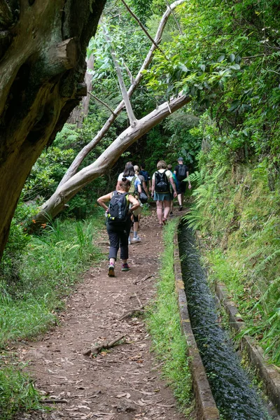 madeira levadas tourists people walking forest watercourses irrigation water channels for agricultural fields.