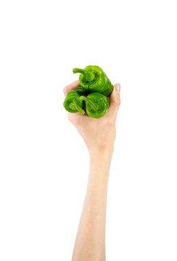 Beyaz arka planda izole edilmiş kadın elinde yeşil biber. Yüksek kalite fotoğraf