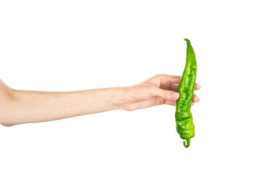 Green chili pepper in female hand isolated on white background. High quality photo clipart