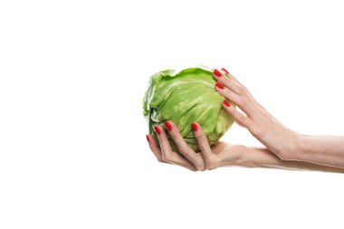 Kollarında lahana olan kız. Genç bayanın lahanası var. Sebzeler bir kadının elinde. Sağlıklı yiyecekler. Ekolojik ürünler. Yüksek kalite fotoğraf