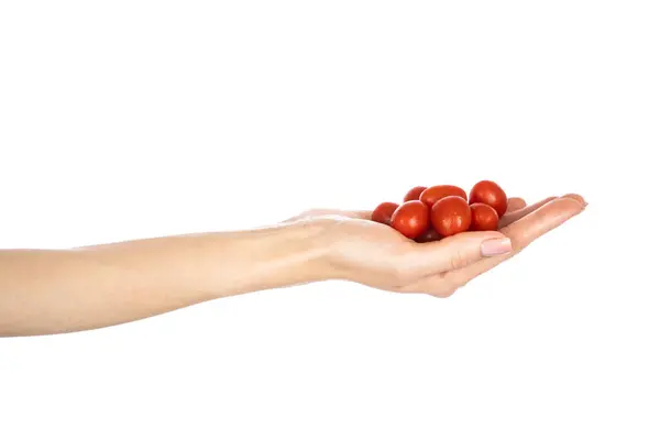 stock image Cherry tomato in woman hand isolated on white background. High quality photo