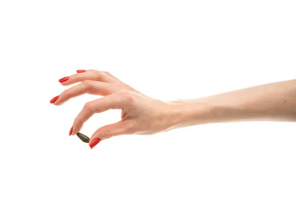 stock image Female hand sunflower seeds on a white background isolation. High quality photo