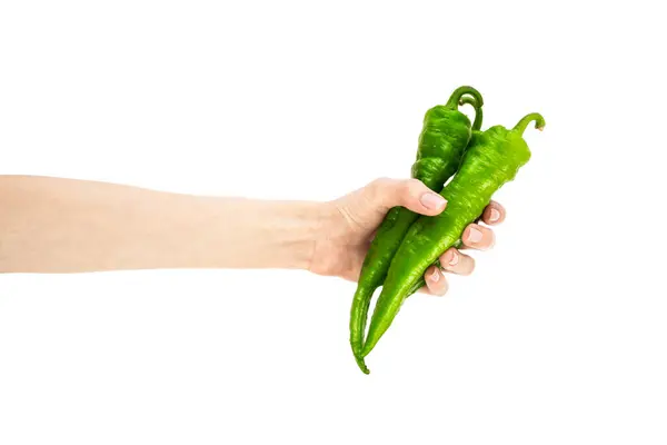 stock image Green chili pepper in female hand isolated on white background. High quality photo