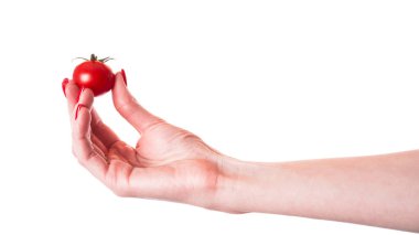 Beyaz arka planda izole edilmiş bir domates dalı. Beyaz arka planda izole edilmiş kiraz domatesi. Yüksek kalite fotoğraf